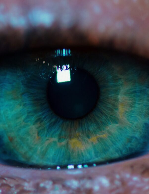 macro-green-eye-2023-11-27-05-06-24-utc-scaled macro-green-eye-2023-11-27-05-06-24-utc-scaled