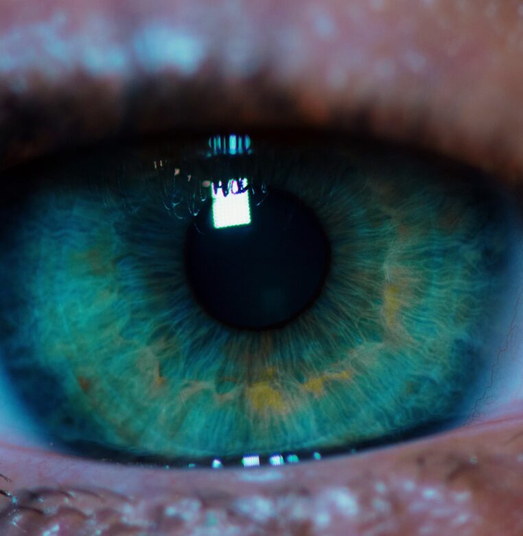 macro-green-eye-2023-11-27-05-06-24-utc-scaled macro-green-eye-2023-11-27-05-06-24-utc-scaled