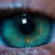 macro-green-eye-2023-11-27-05-06-24-utc-scaled