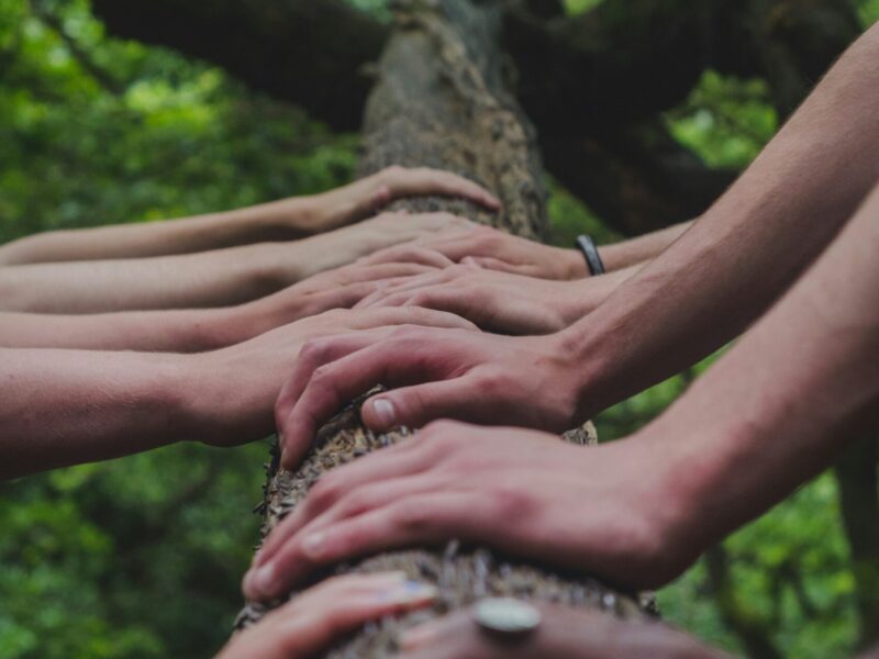 shane-rounce-DNkoNXQti3c-unsplash